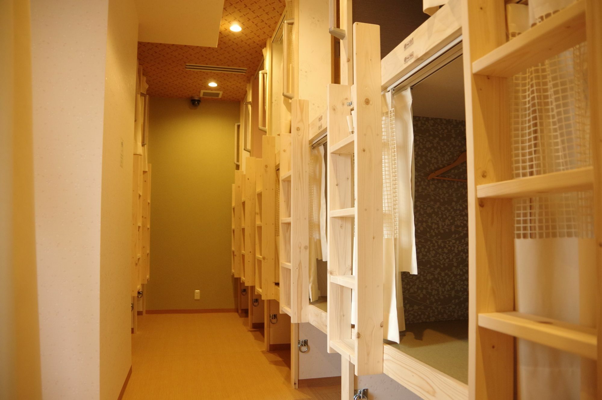 Wasabi Bed And Library *